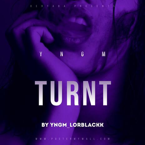 Turnt | Boomplay Music