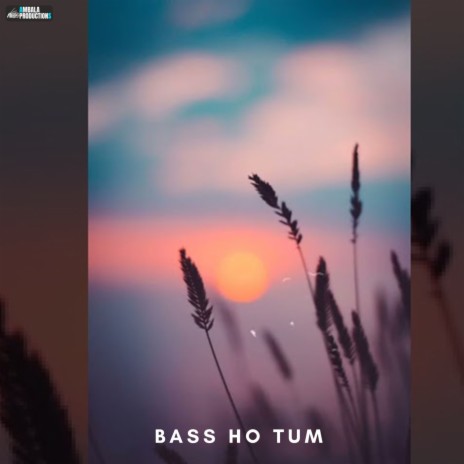 Bass Ho Tum | Boomplay Music