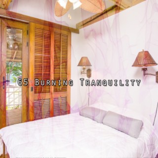 65 Burning Tranquility