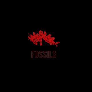 Fossils