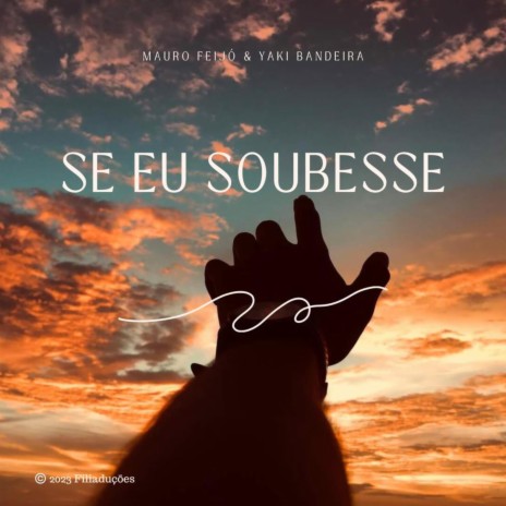 Se Eu Soubesse ft. Mauro Feijó | Boomplay Music