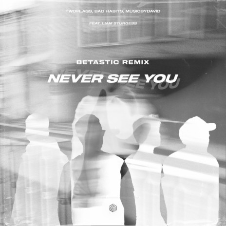 Never See You ft. Bad Habits, MusicByDavid & Liam Sturgess | Boomplay Music