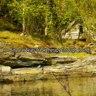 11 Binaural Beats Track Therapy Through Sounds