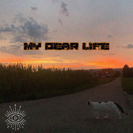 My Dear Life | Boomplay Music
