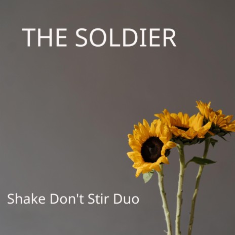 The Soldier | Boomplay Music
