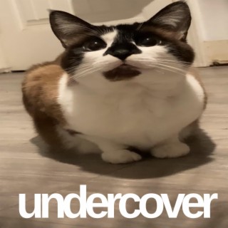 undrcovr :3