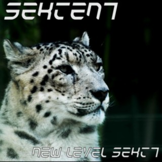 NEW LEVEL SEKT7