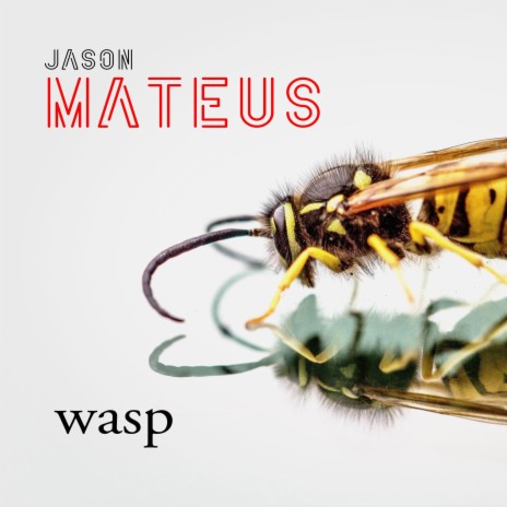 Wasp | Boomplay Music