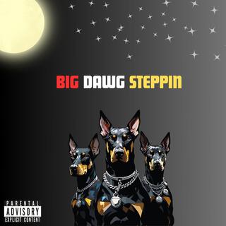 BIG DAWG STEPPIN lyrics | Boomplay Music