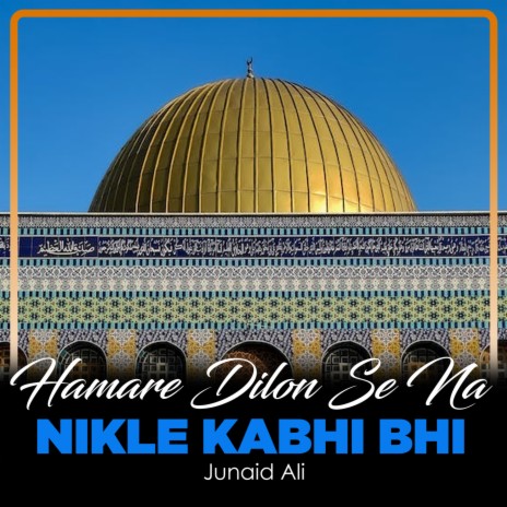 Hamare Dilon Se Na Nikle Kabhi Bhi | Boomplay Music