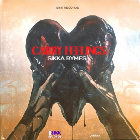 Carry Feelings | Boomplay Music