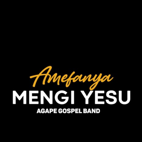 Amefanya Mengi Yesu | Boomplay Music