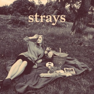 strays