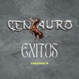 Exitos Vol. 4