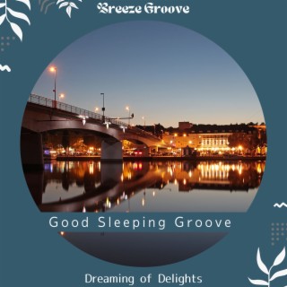 Good Sleeping Groove - Dreaming of Delights