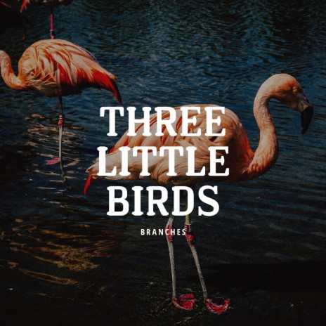 Three Little Birds | Boomplay Music