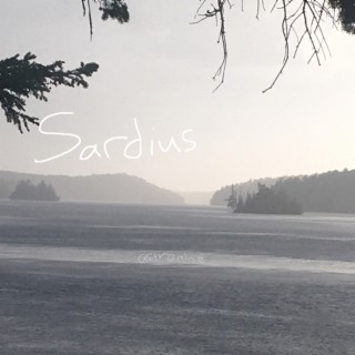 Sardius