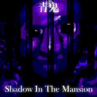 Shadow In The Mansion