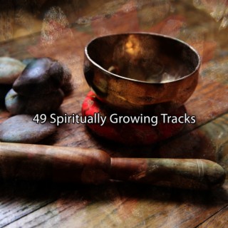 49 Morceaux de croissance spirituelle