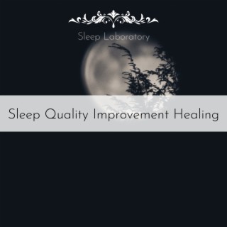 Sleep Quality Improvement Healing