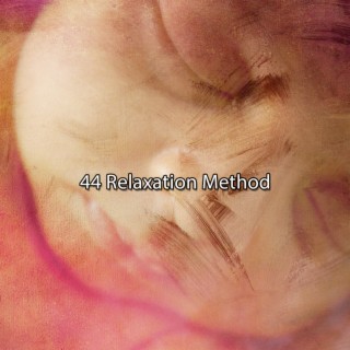 44 Relaxation Method