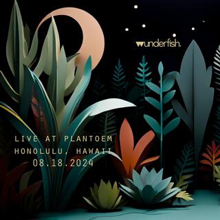 Live Ambient at Plantoem Hawaii (August 18, 2024) (Live)