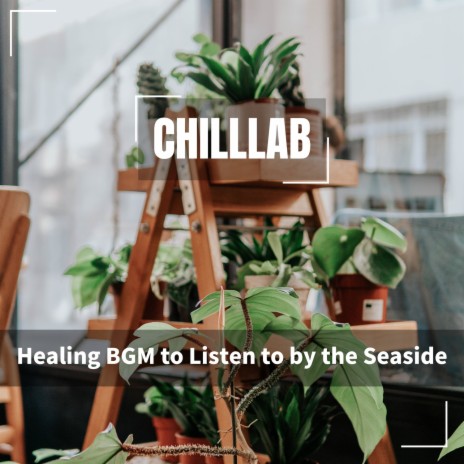 Healing Salon Music | Boomplay Music