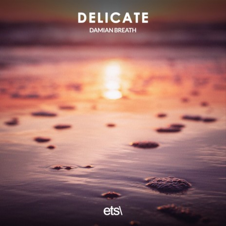 Delicate (Extended Mix) | Boomplay Music