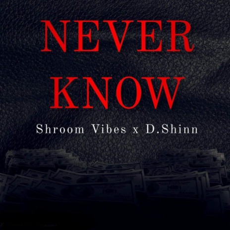 Never Know ft. D.Shinn | Boomplay Music