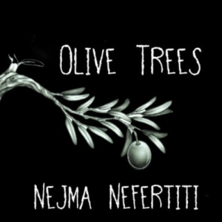 Olive Trees