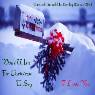 Don't Wait For Christmas To Say I Love You lyrics | Boomplay Music