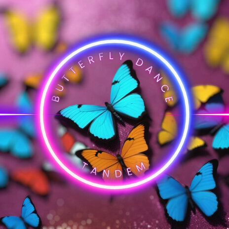 Butterfly Dance | Boomplay Music