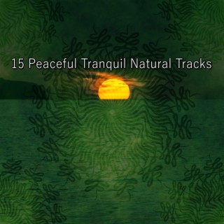 15 Peaceful Tranquil Natural Tracks