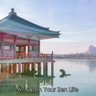 67 Open Your Zen Life