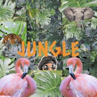 JUNGLE