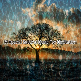 24 Special Natural Music For Meditation