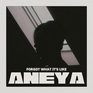 Forgot What it's Like lyrics | Boomplay Music