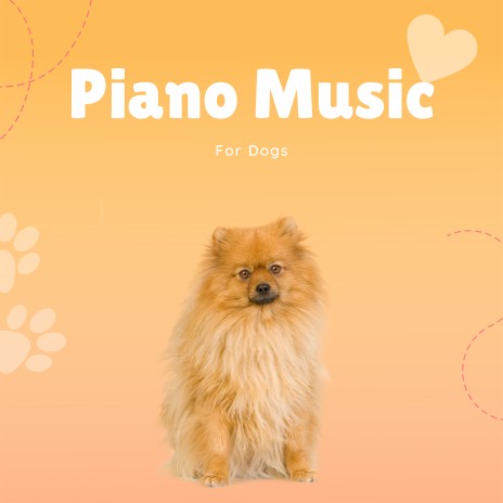 Mixture ft. Pet Music Therapy & PETS LOVE MUSIC | Boomplay Music