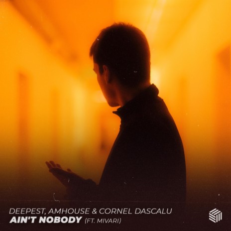 Ain't Nobody ft. AMHouse, Cornel Dascalu & MIVARI | Boomplay Music