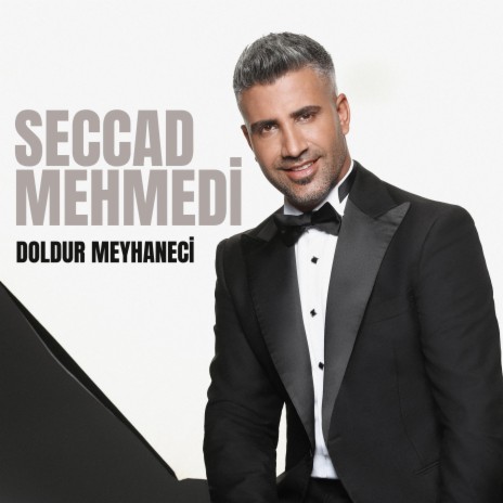 Doldur Meyhaneci | Boomplay Music