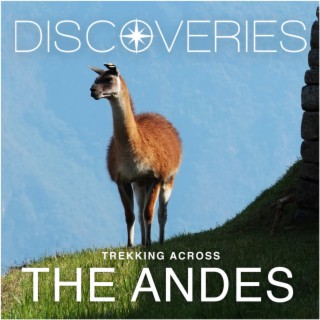 Trekking Across The Andes