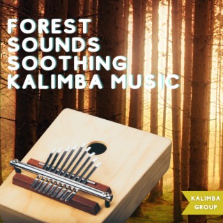 Forest Sounds, Soothing Kalimba Music