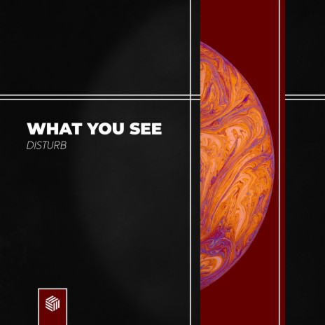 What You See | Boomplay Music