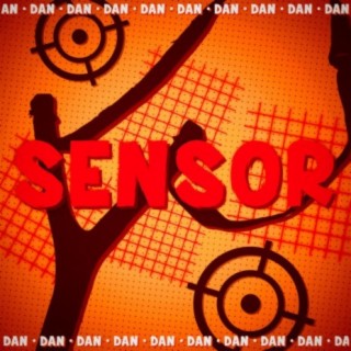 Sensor