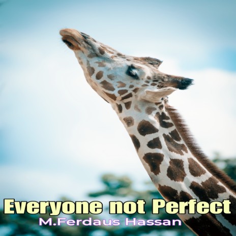 Everyone Not Perfect | Boomplay Music