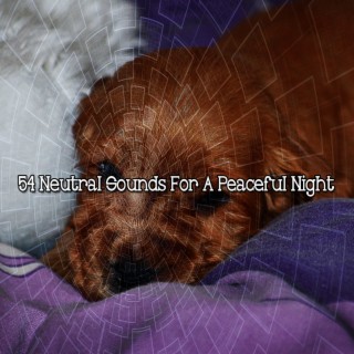 54 Neutral Sounds For A Peaceful Night