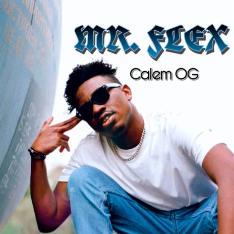 Mr. Flex | Boomplay Music