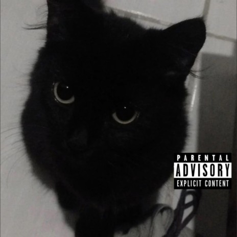 black cats. ft. Kartel
