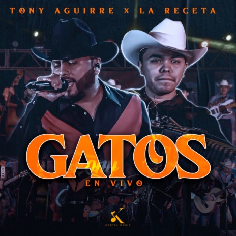 Gatos (En Vivo) ft. La Receta | Boomplay Music