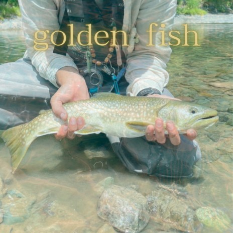 Golden Fish | Boomplay Music